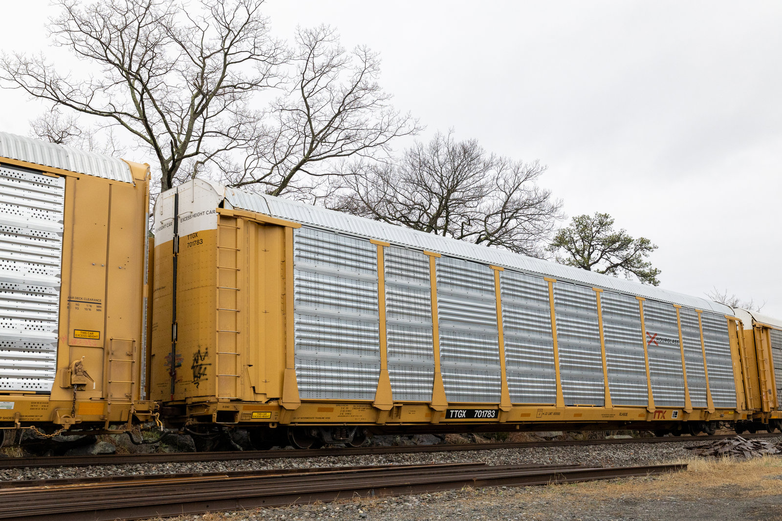 TTGX 701783