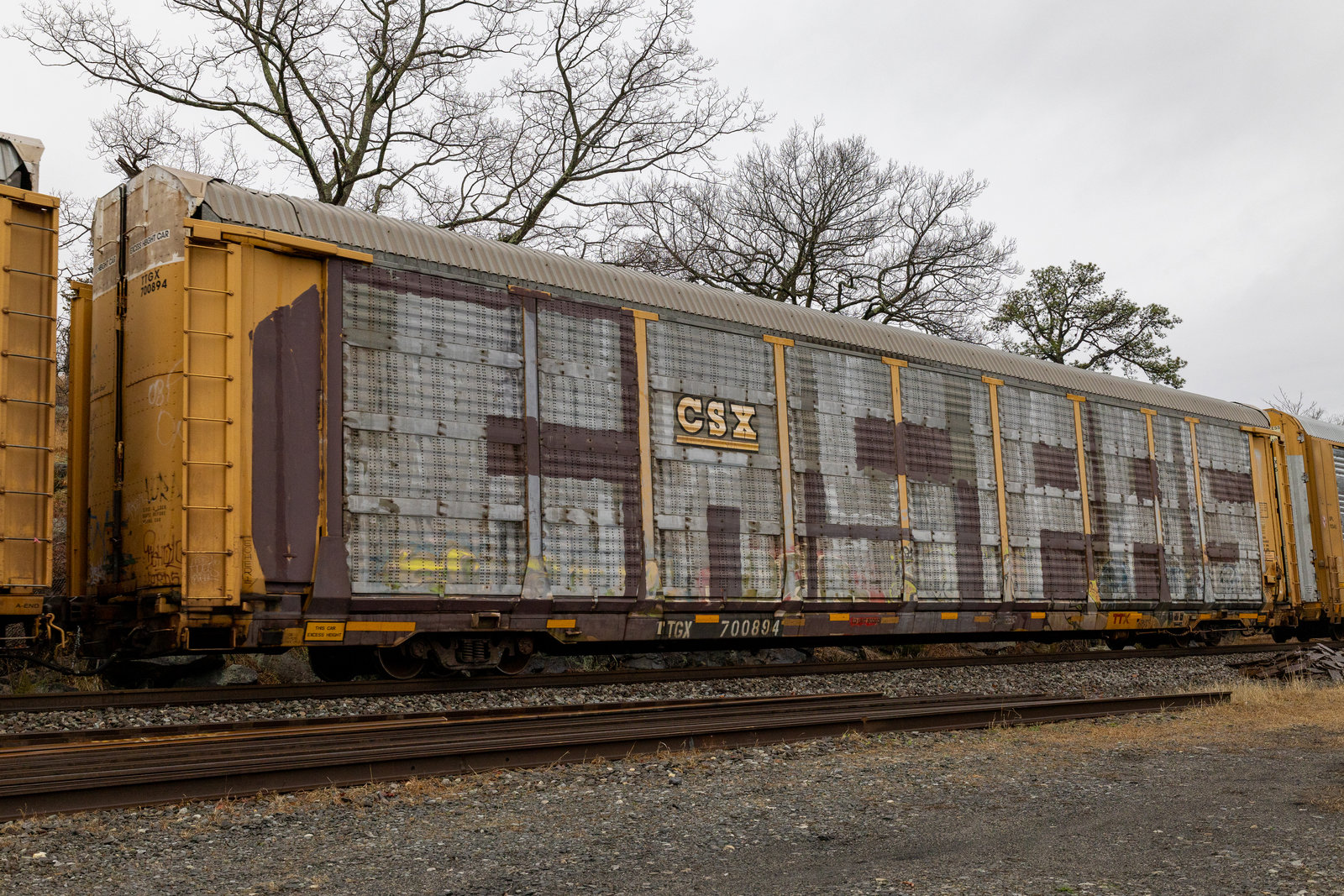 TTGX 700594