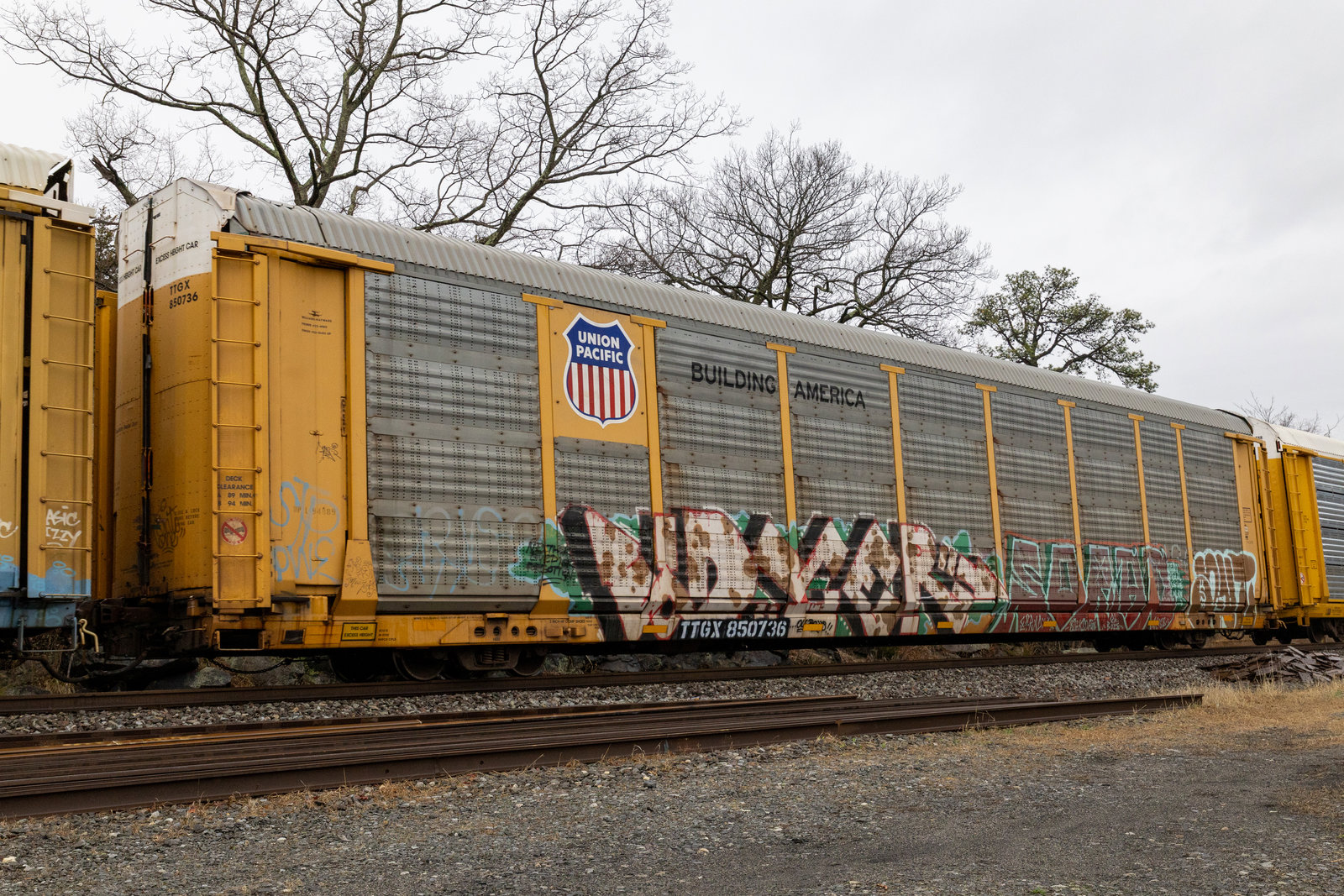 TTGX 850736