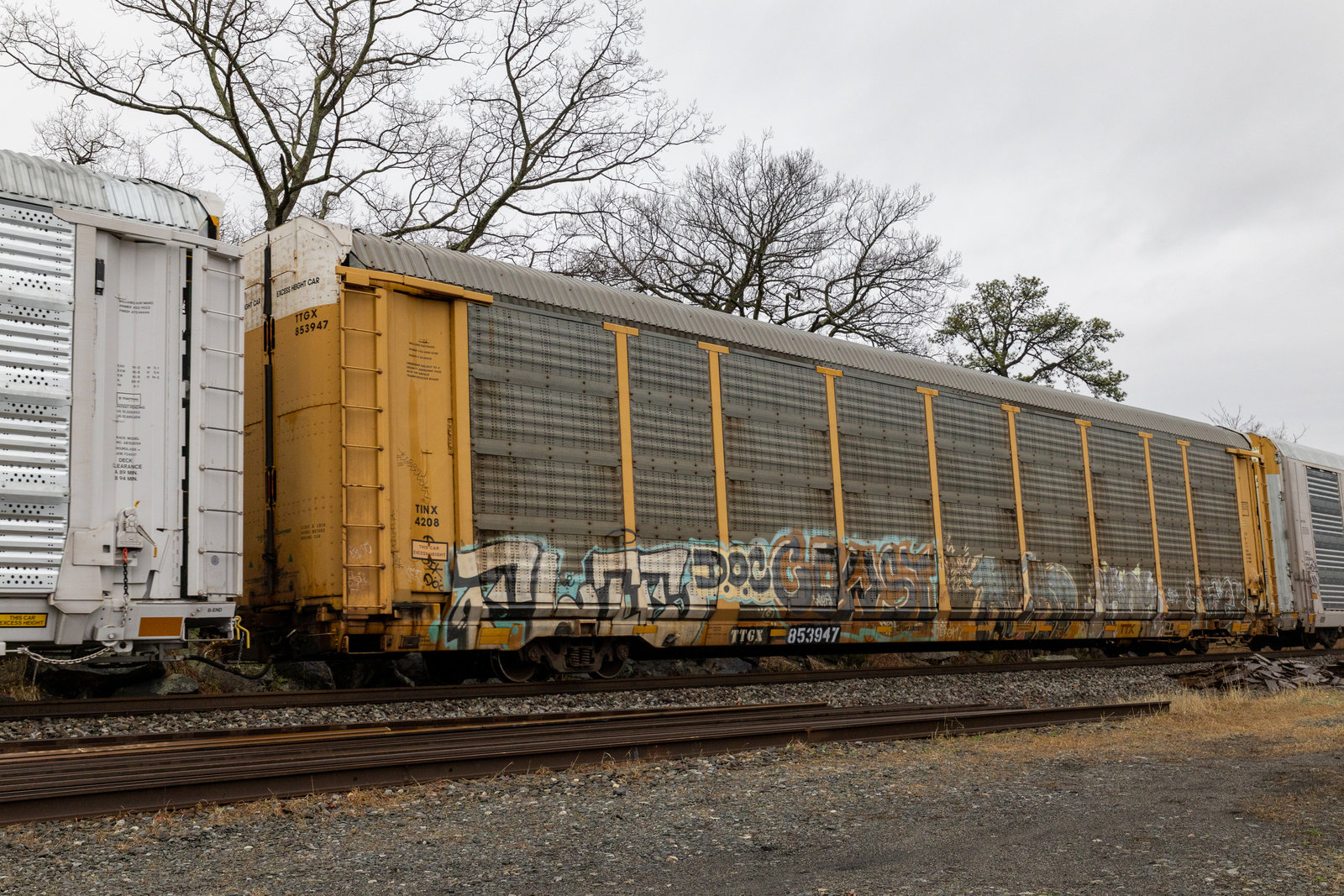 TTGX 853947