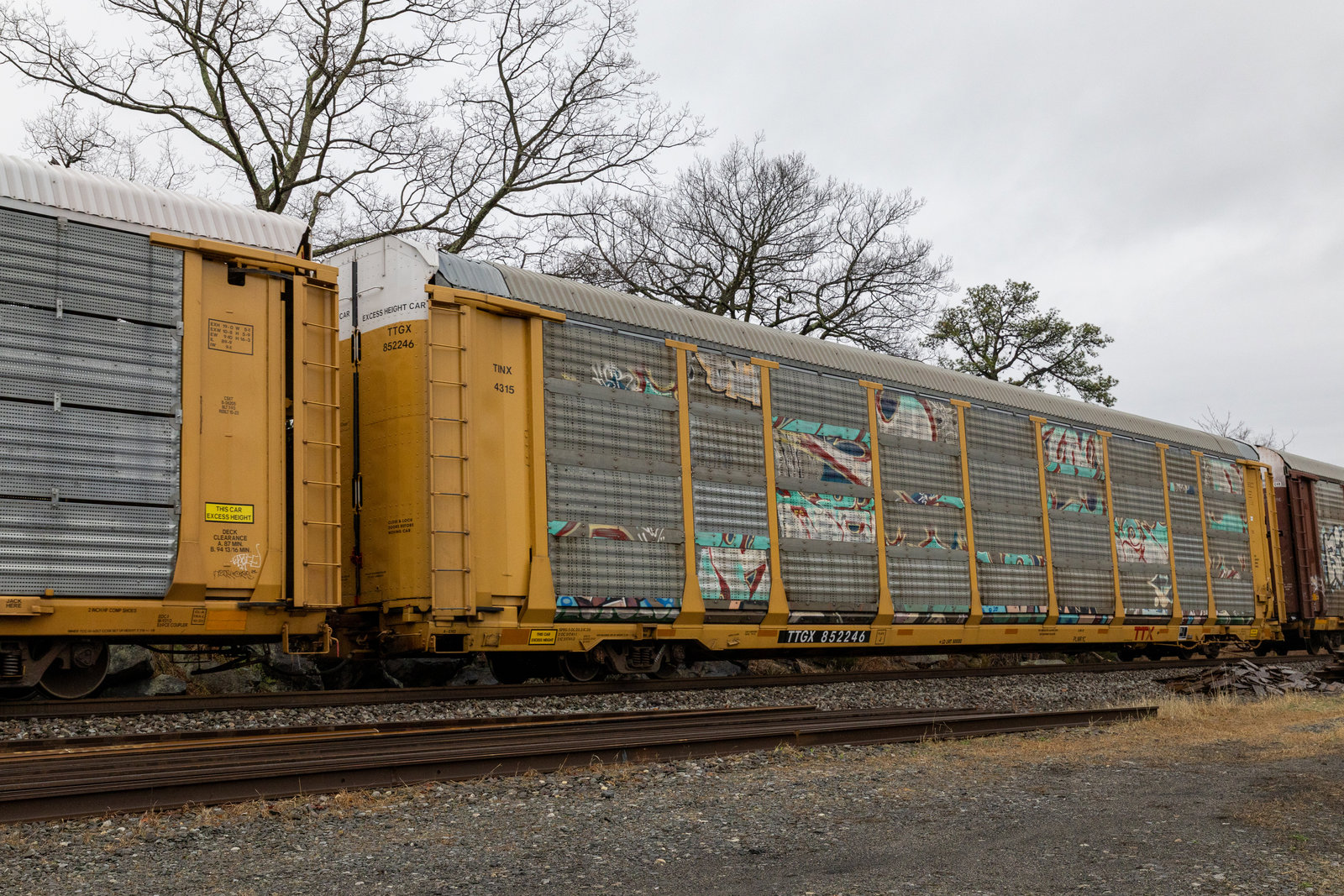 TTGX 852246