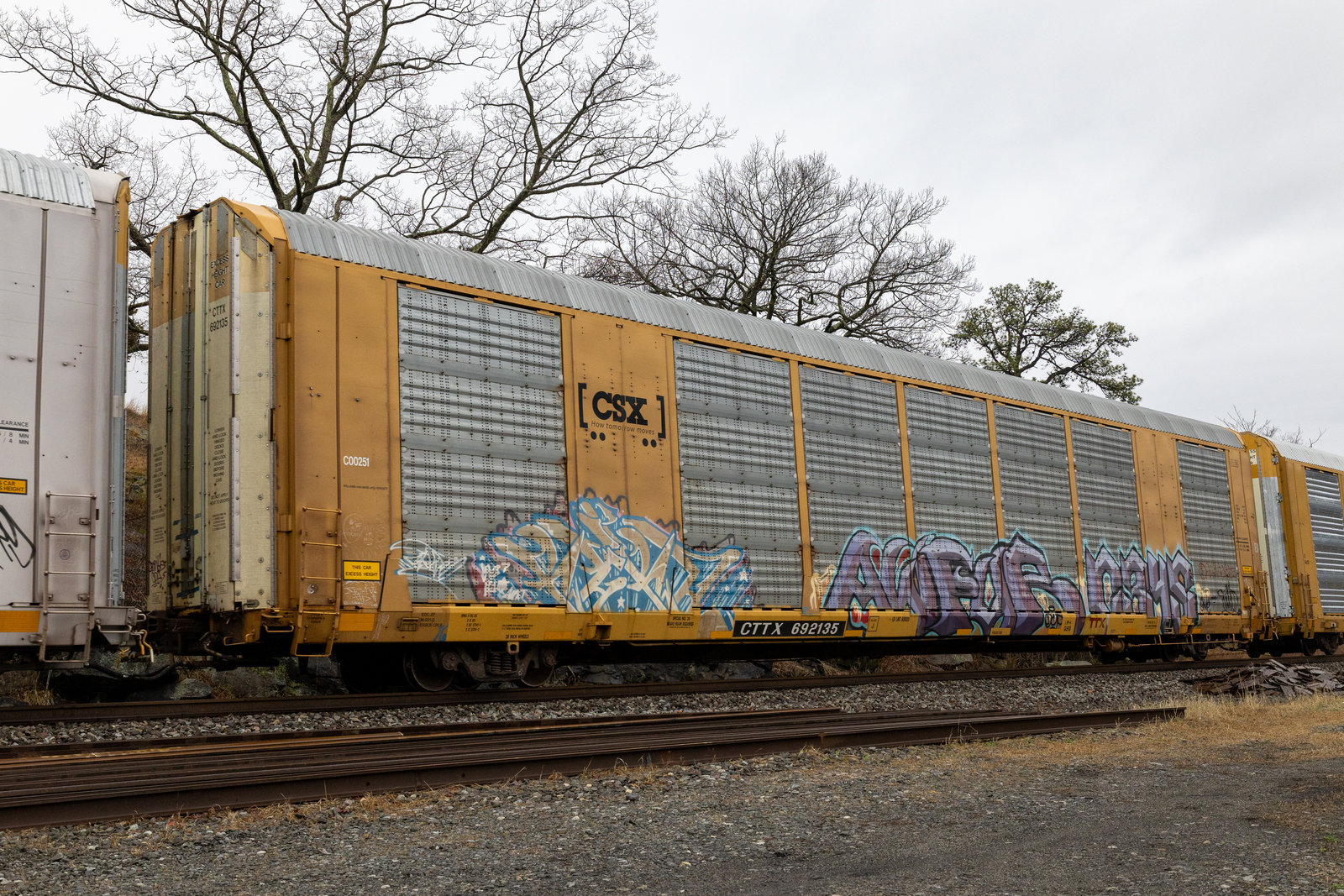 CTTX 692135