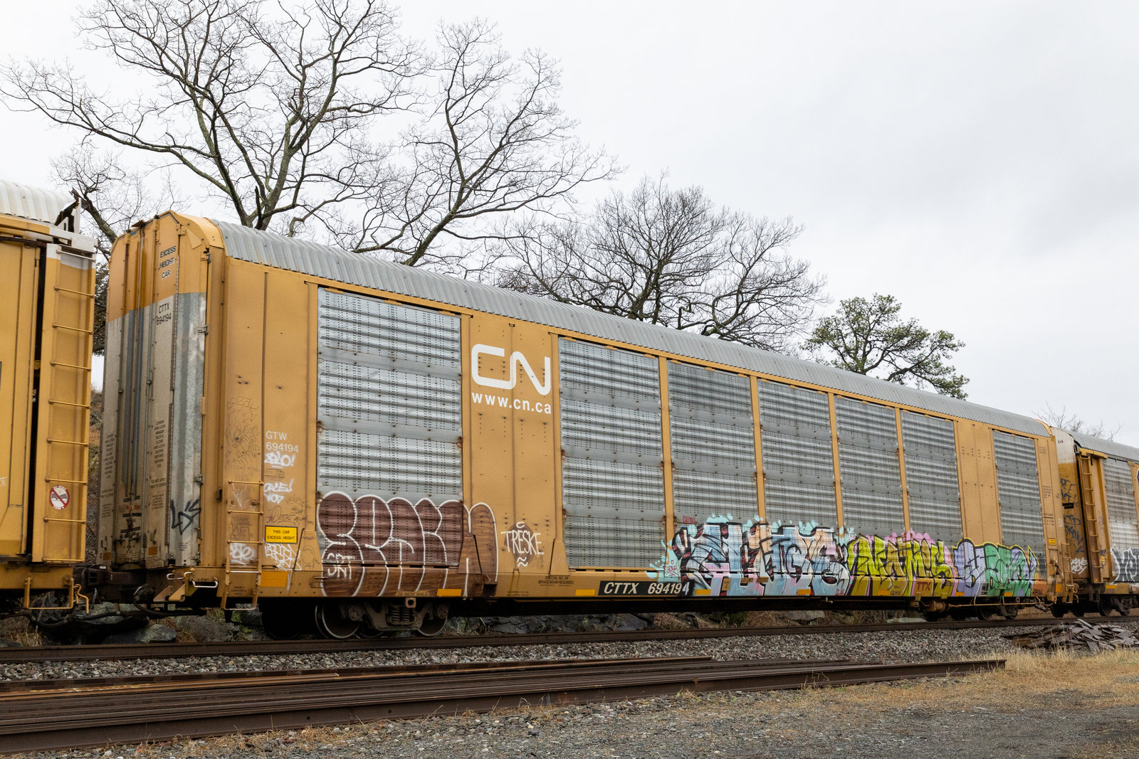 CTTX 694194