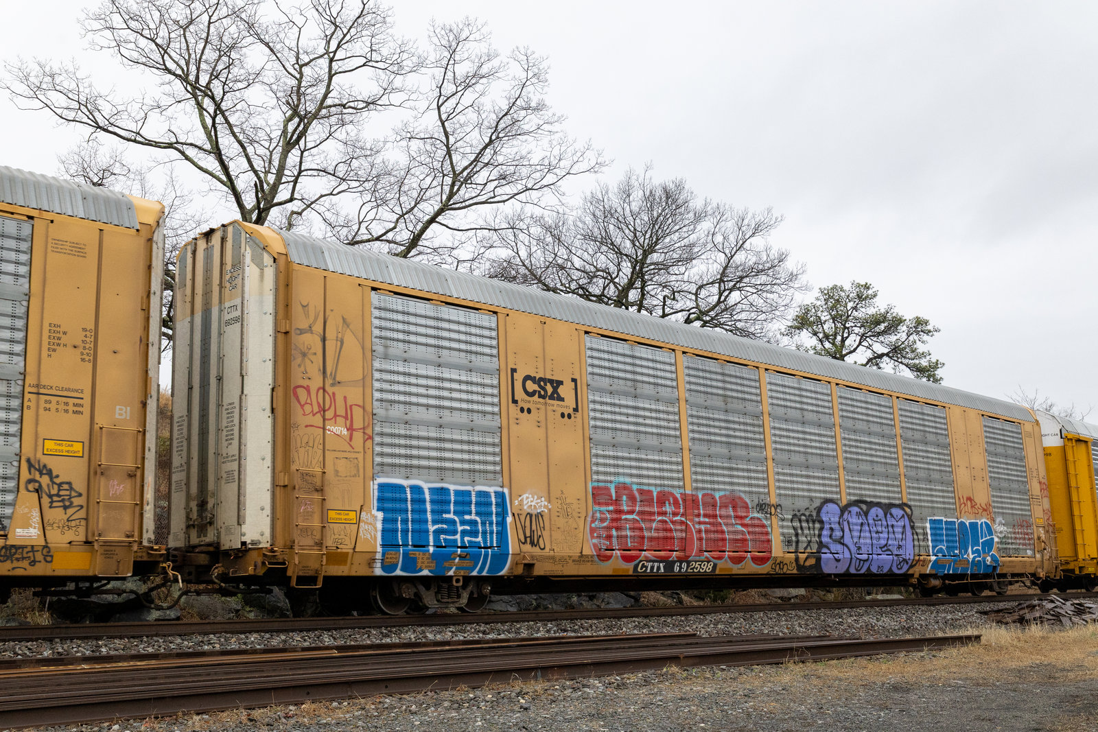 CTTX 692598