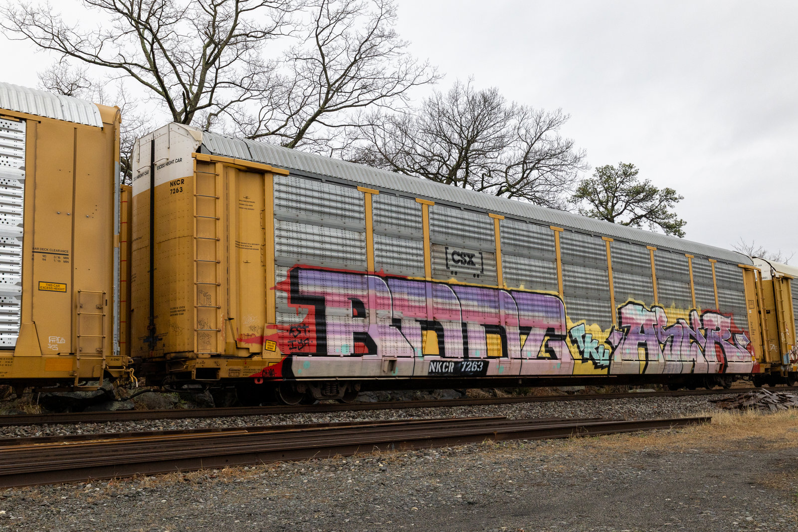 NKCR 7263