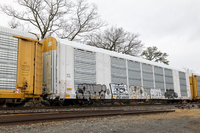 SFLC 308074