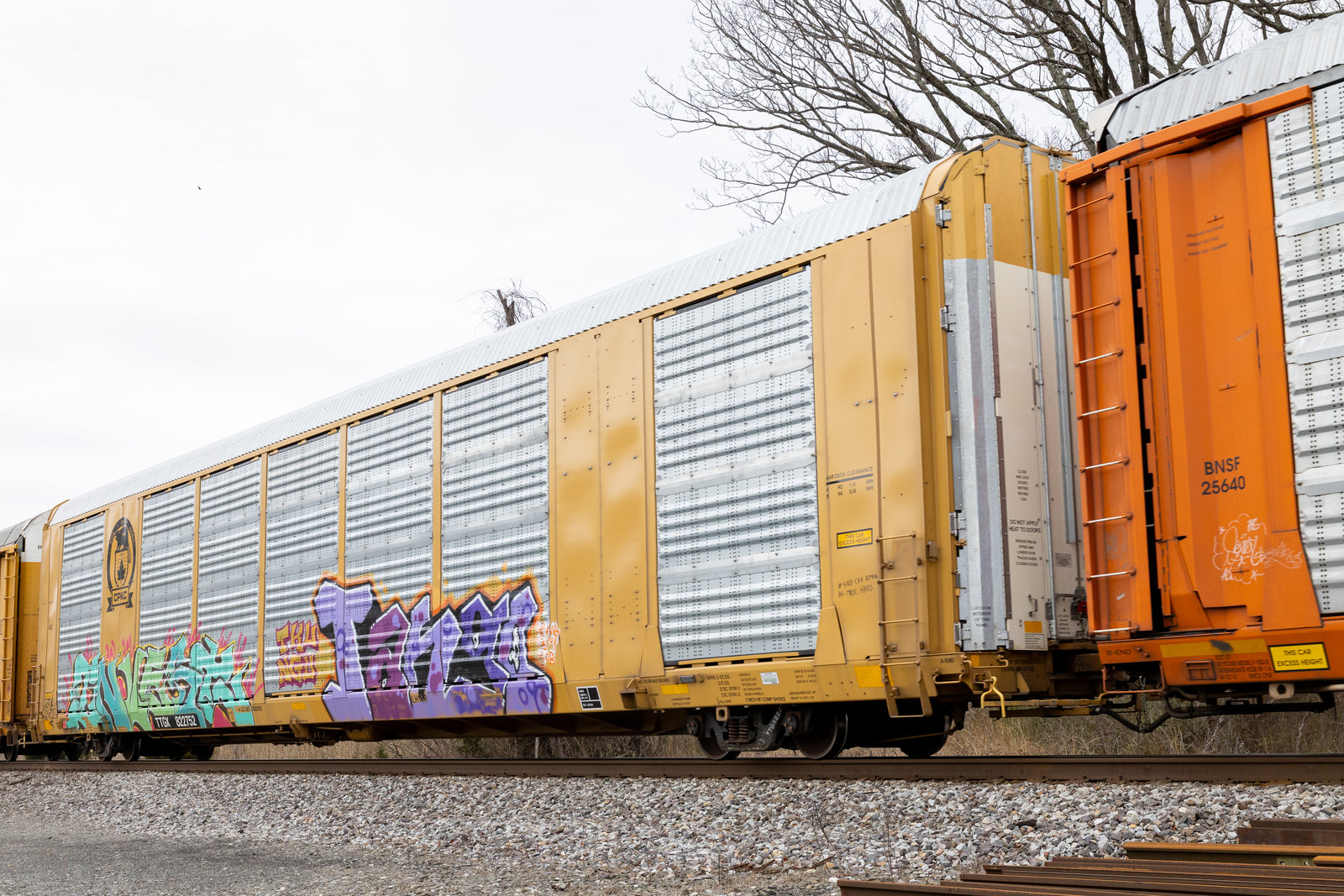 TTGX 822752