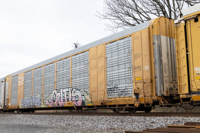 TTGX 694315