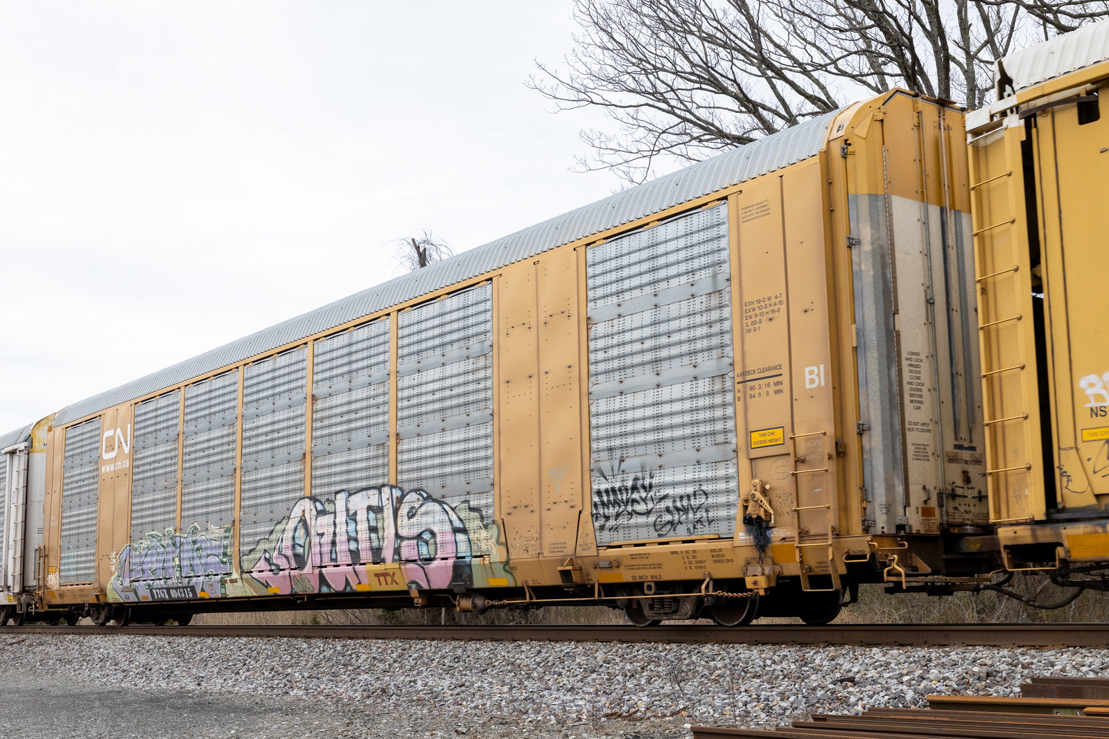 TTGX 694315