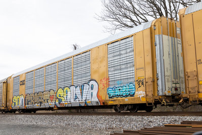 TTGX 699946