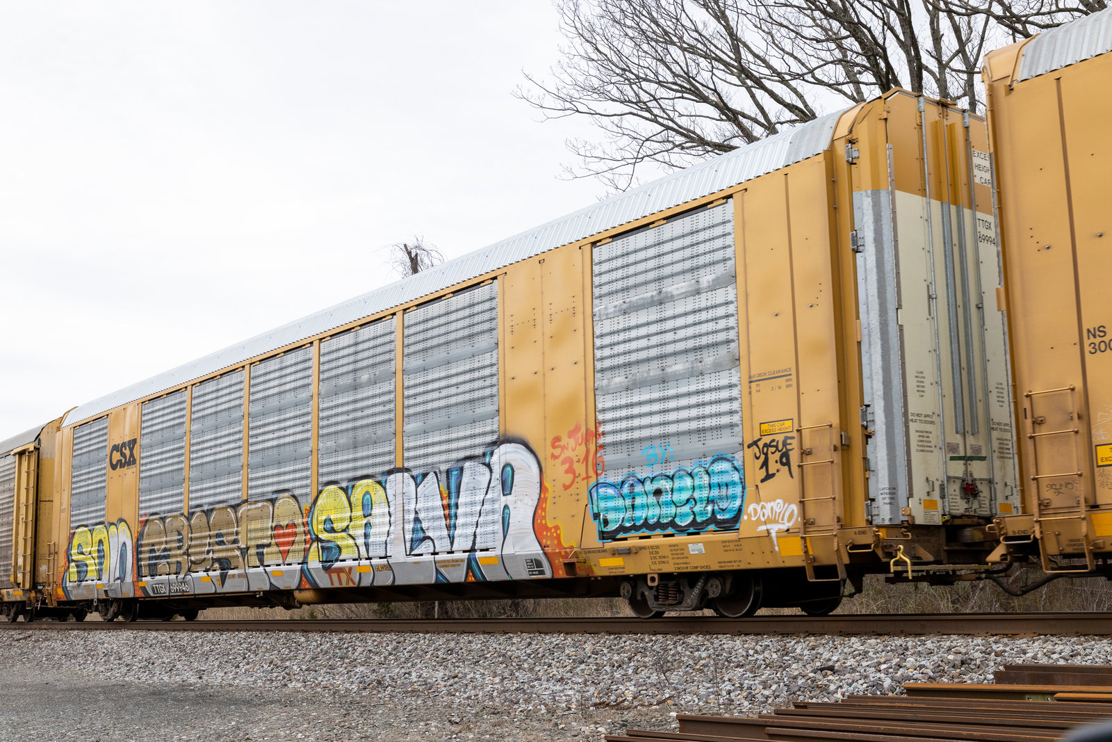 TTGX 699946