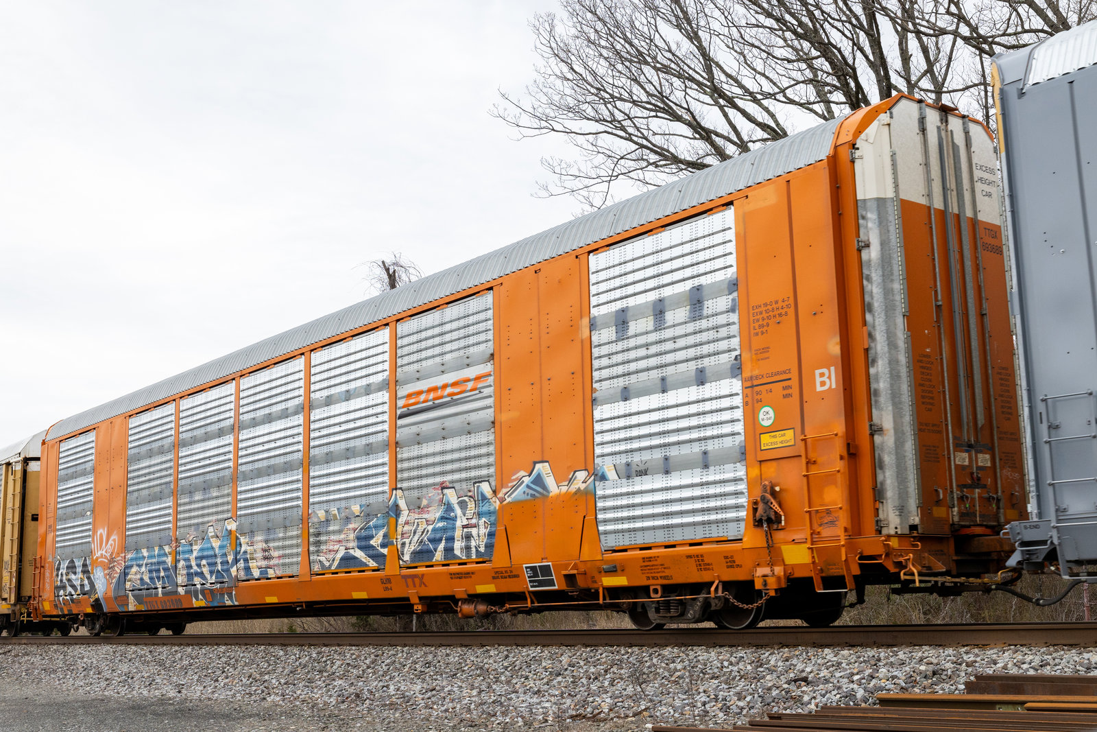 TTGX 693689