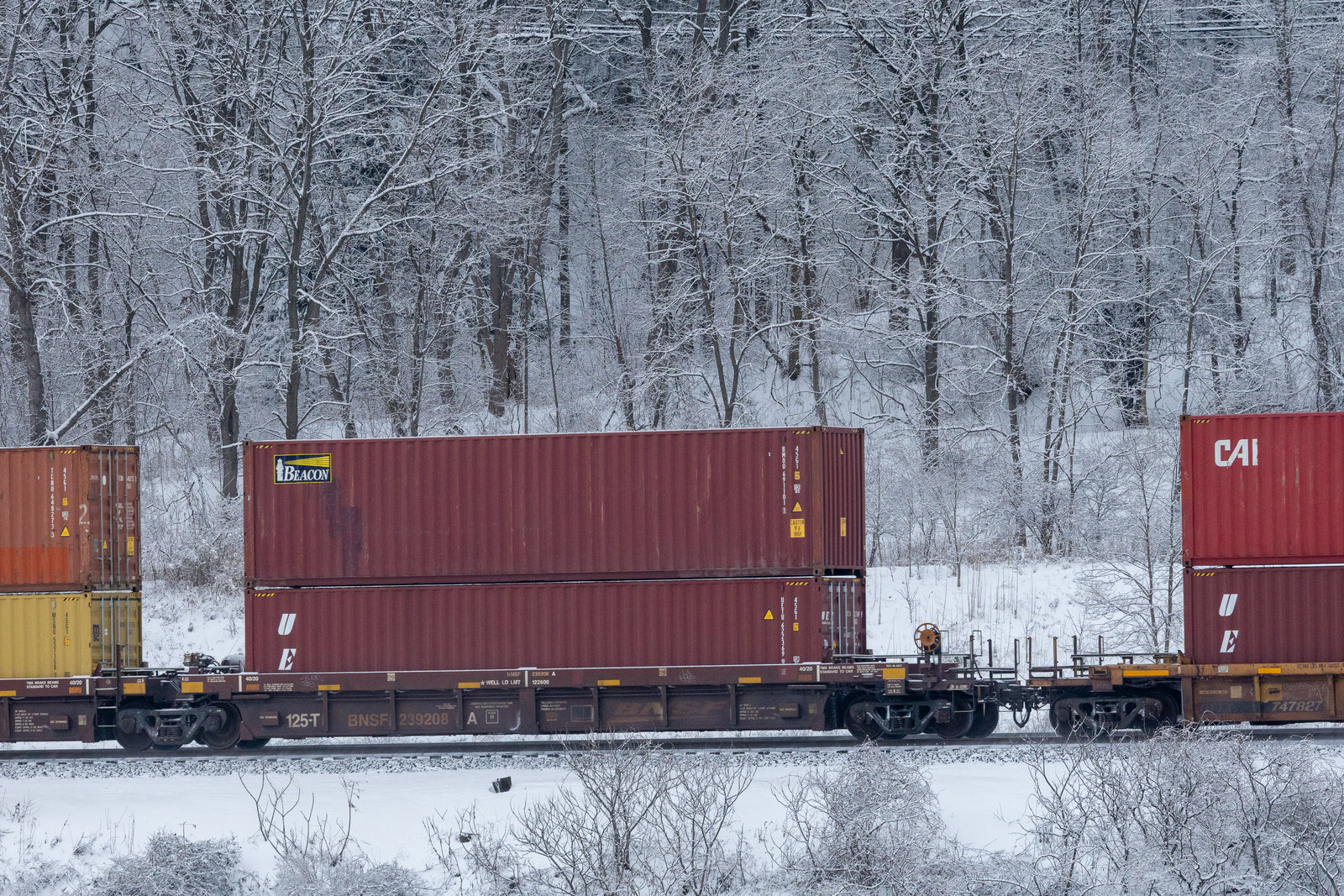 BNSF 239208A