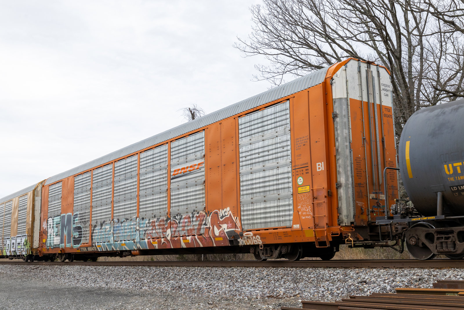 TTGX 693470