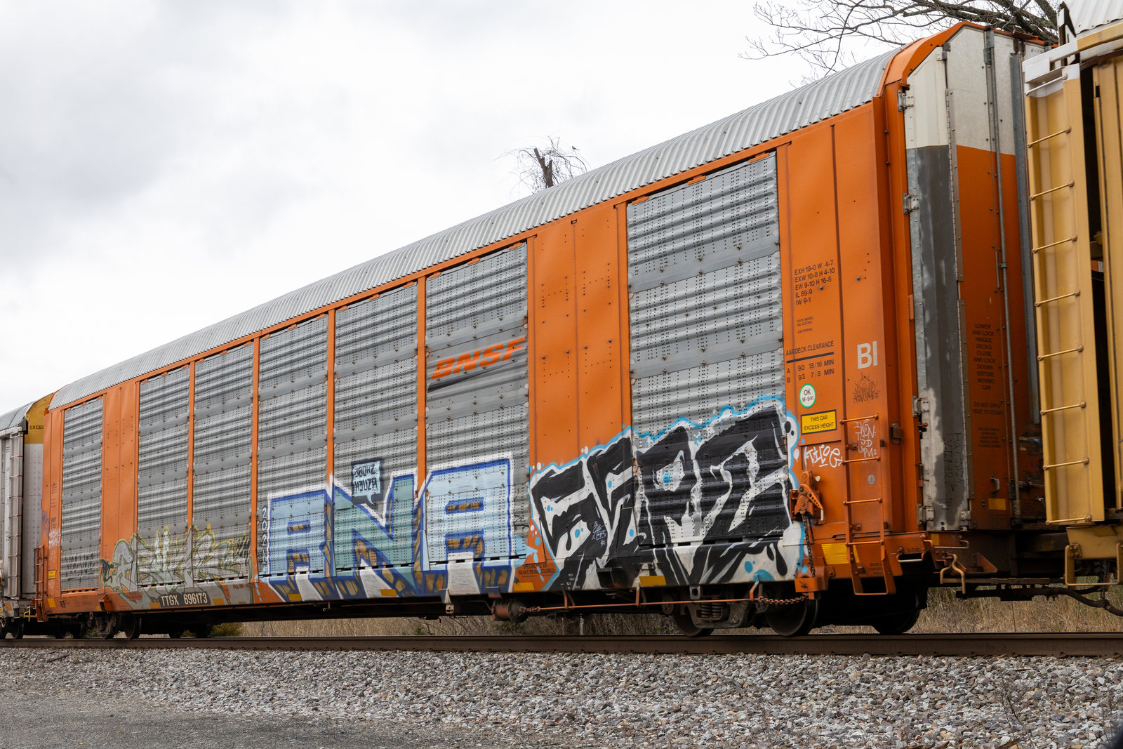 TTGX 696173