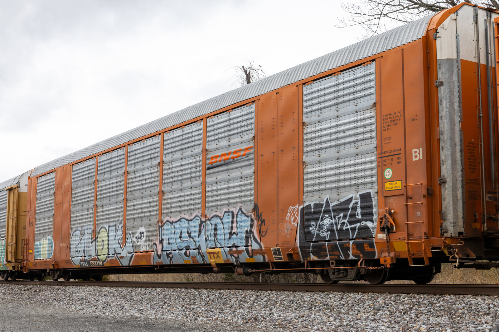 TTGX 693390
