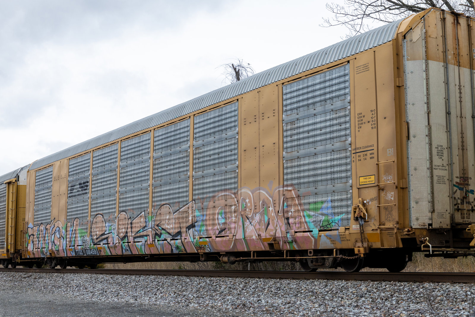 TTGX 691459