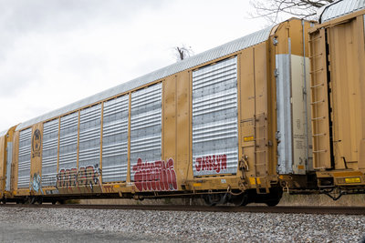 TTGX 822526