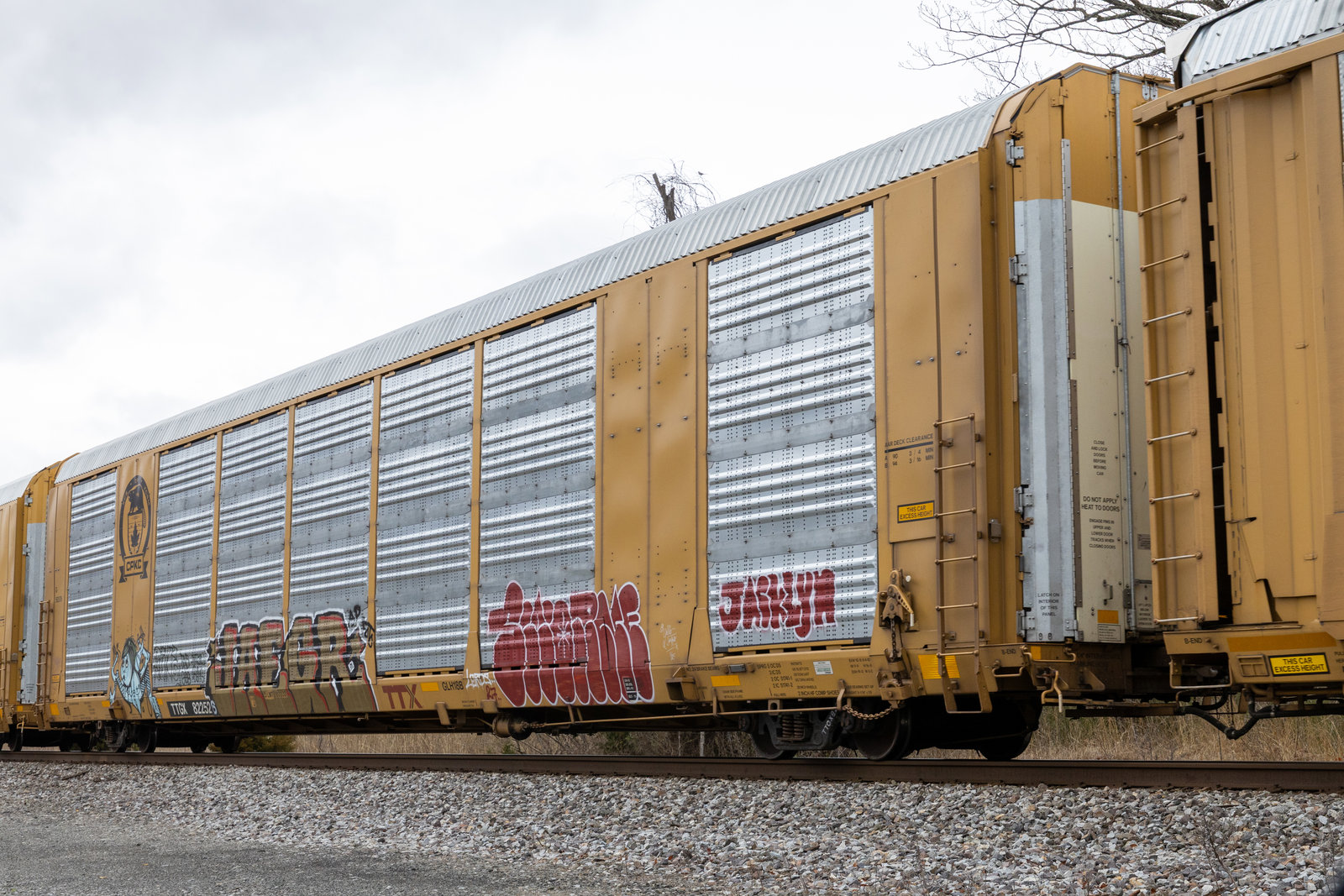 TTGX 822526