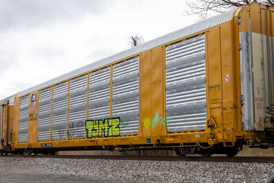 TTGX 699318