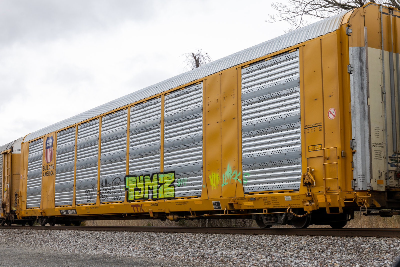 TTGX 699318