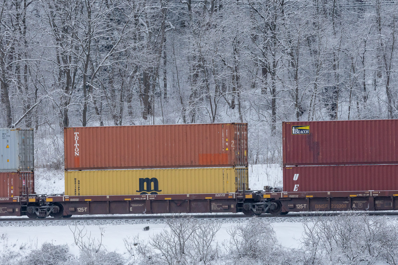BNSF 239208E