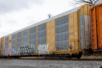 TTGX 695499