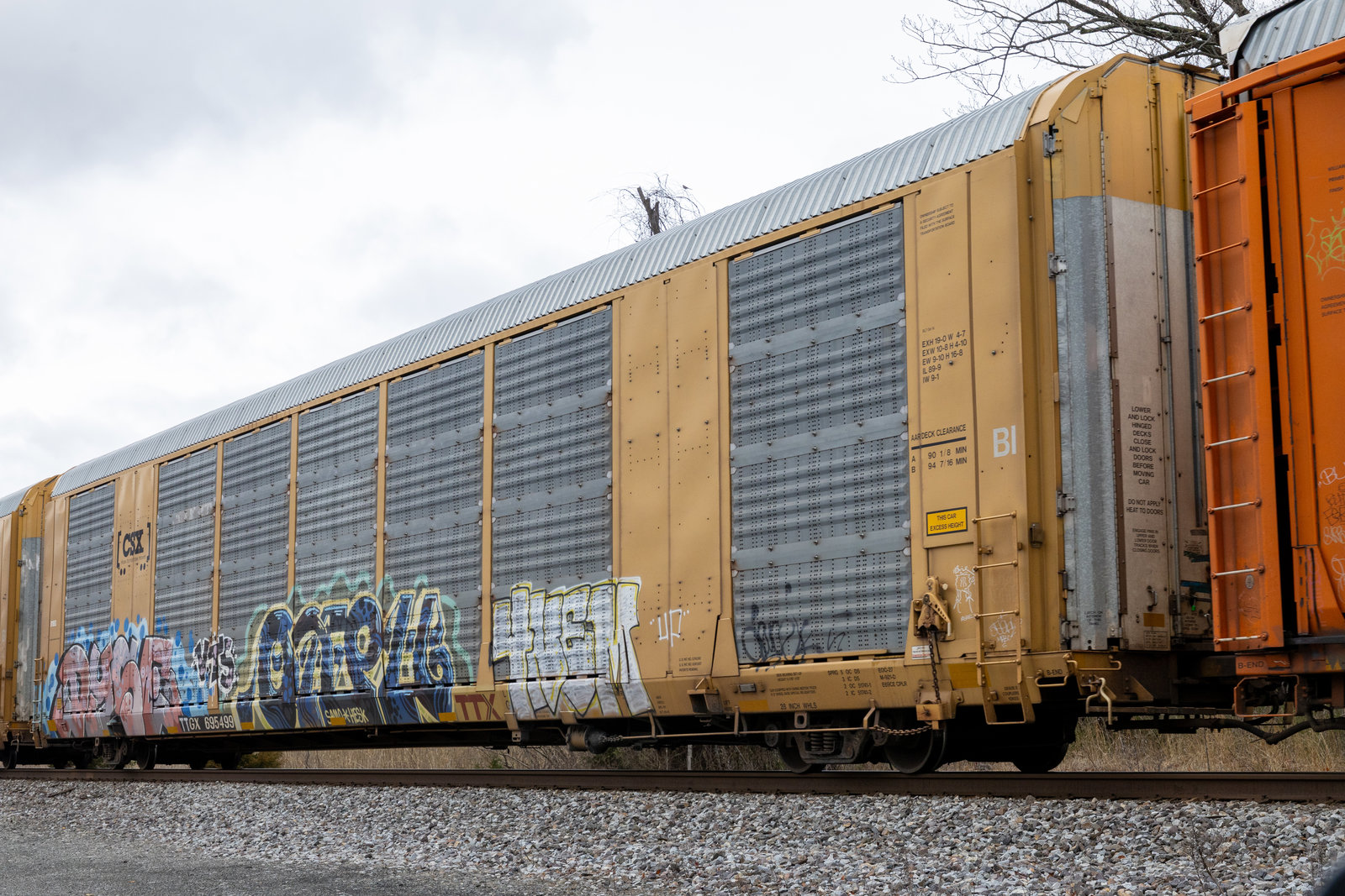 TTGX 695499