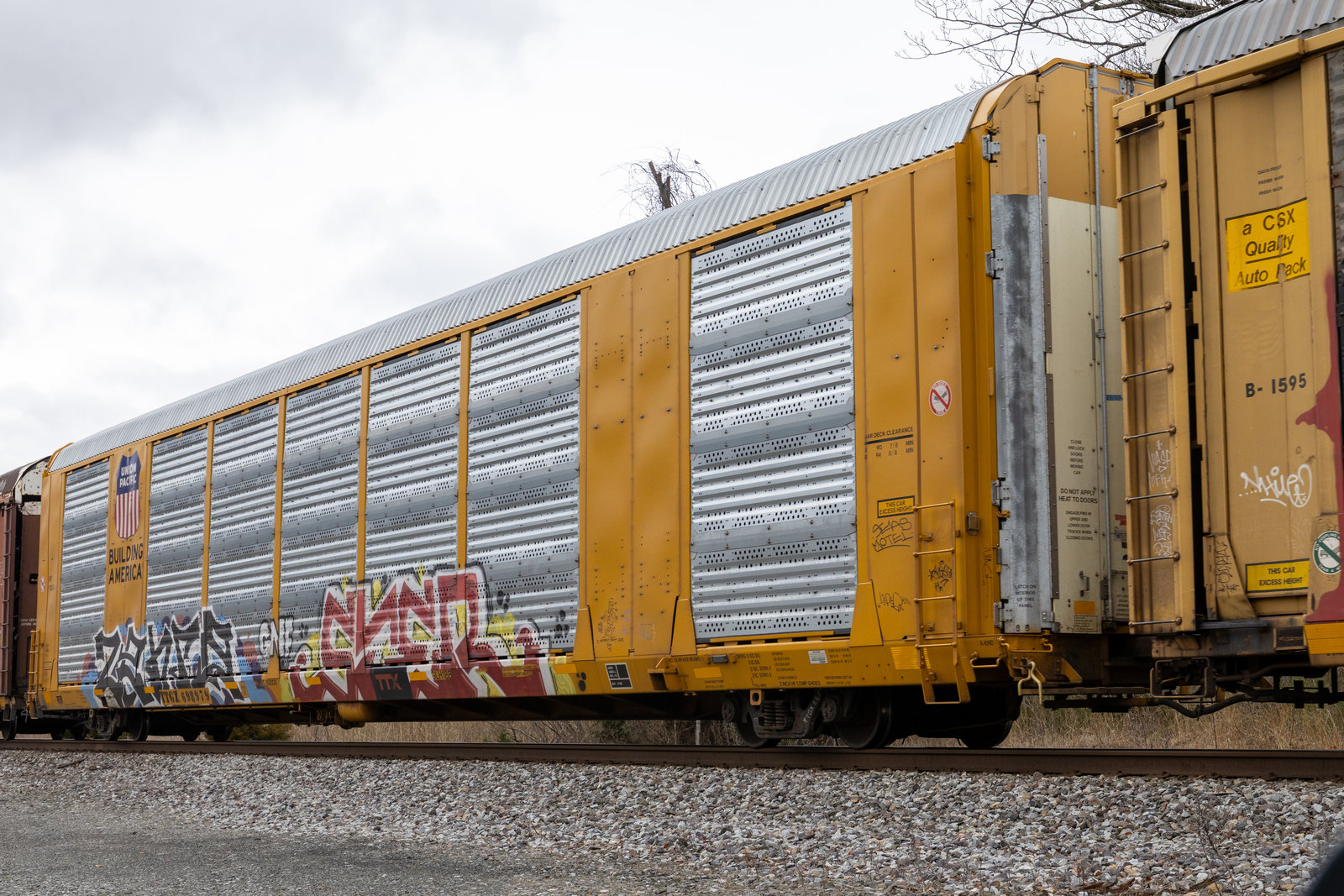 TTGX 698979
