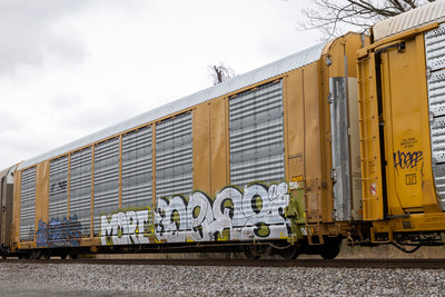 TTGX 997318