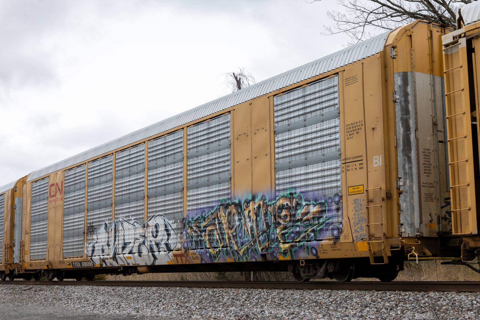 TTGX 696866