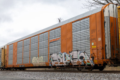 TTGX 693352