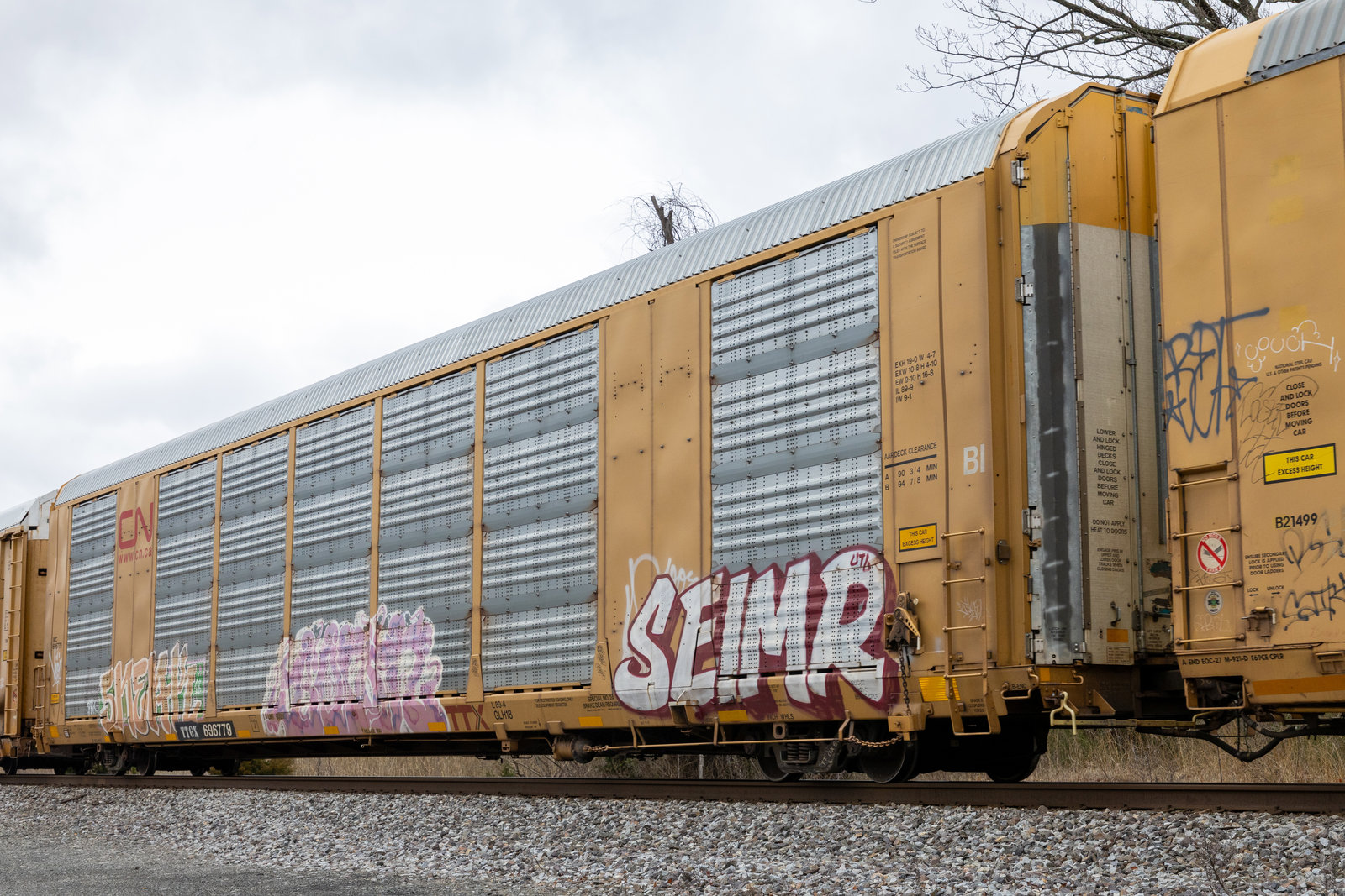 TTGX 696779