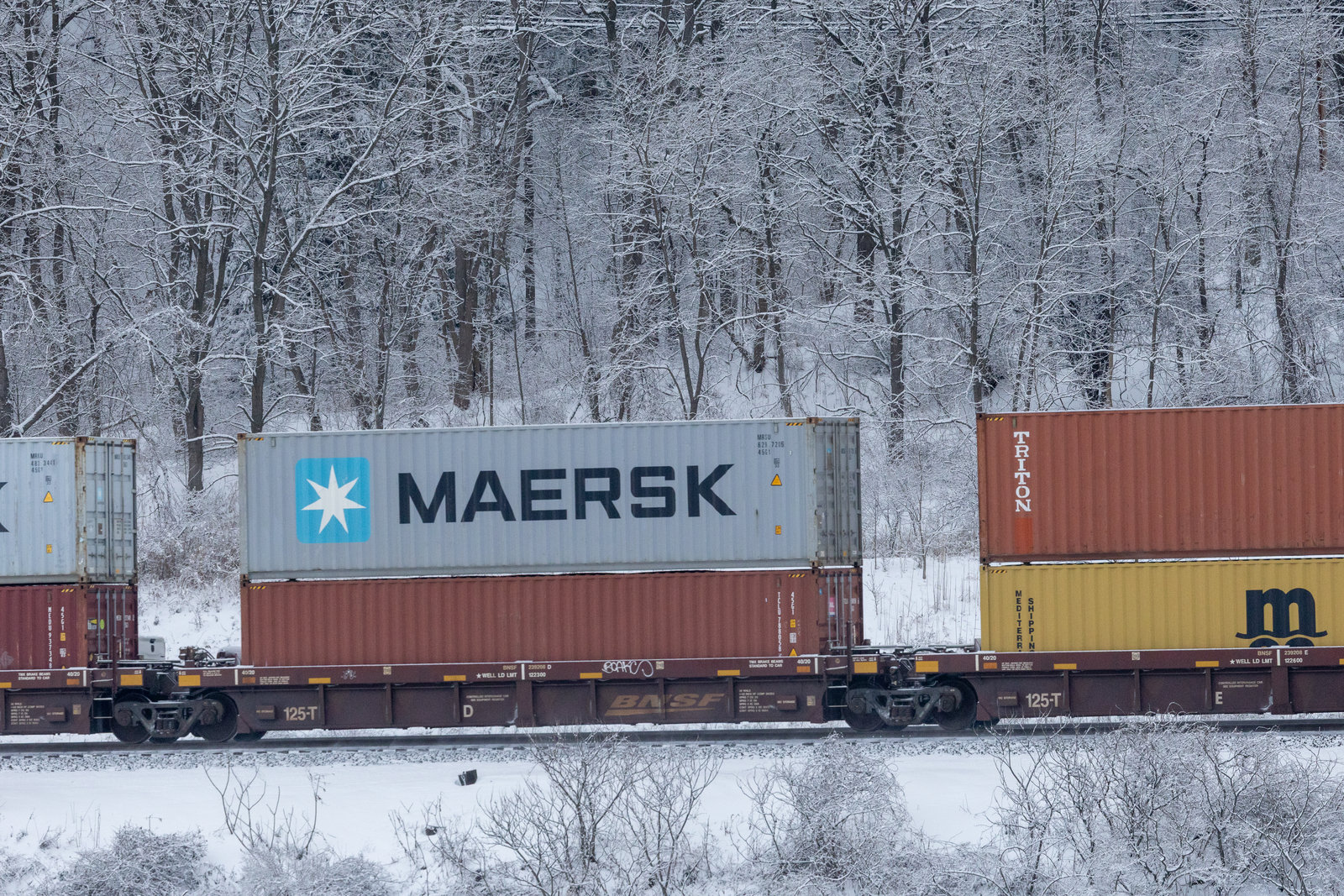 BNSF 239208D