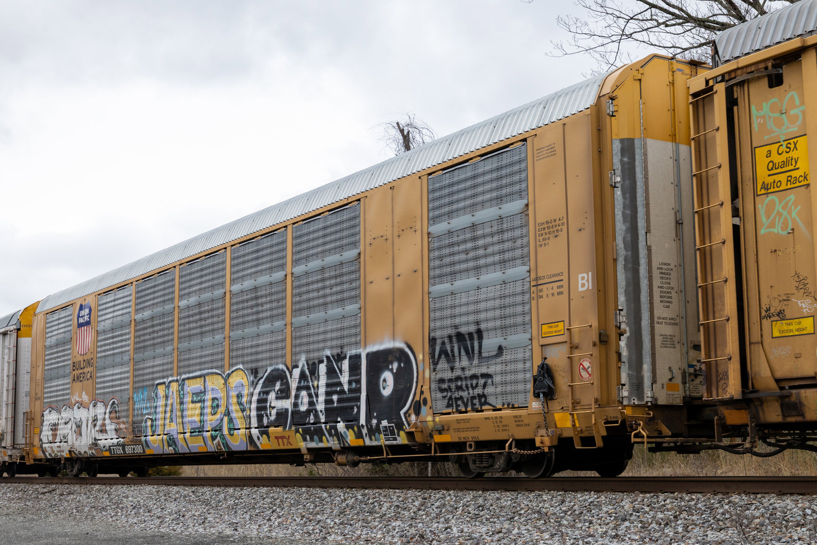 TTGX 697300
