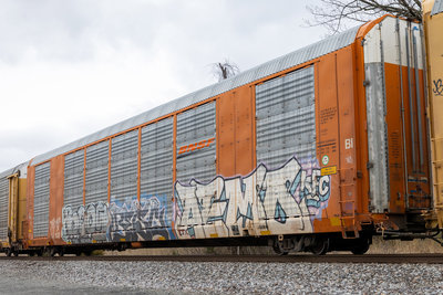 TTGX 693406
