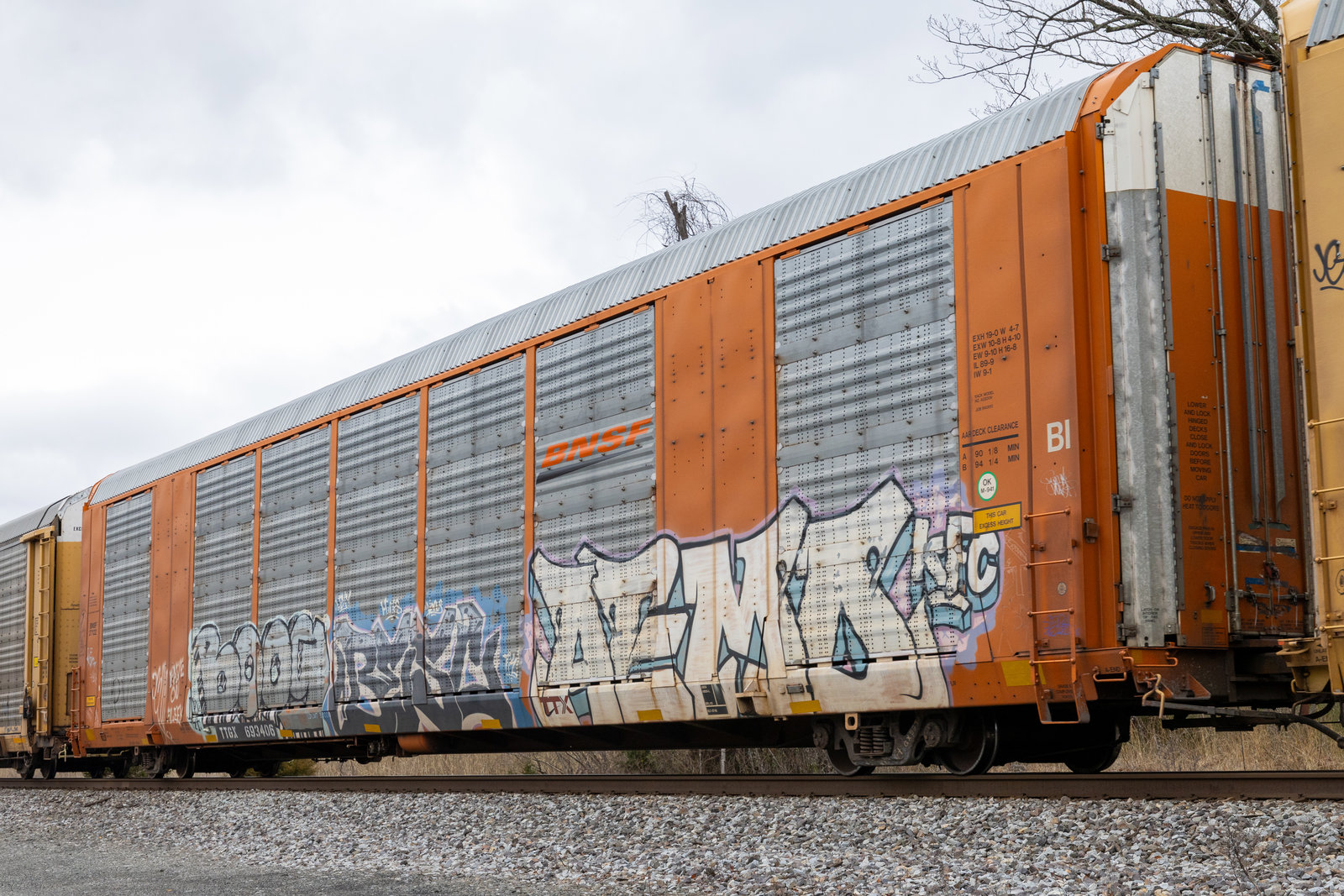TTGX 693406