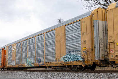 TTGX 694383