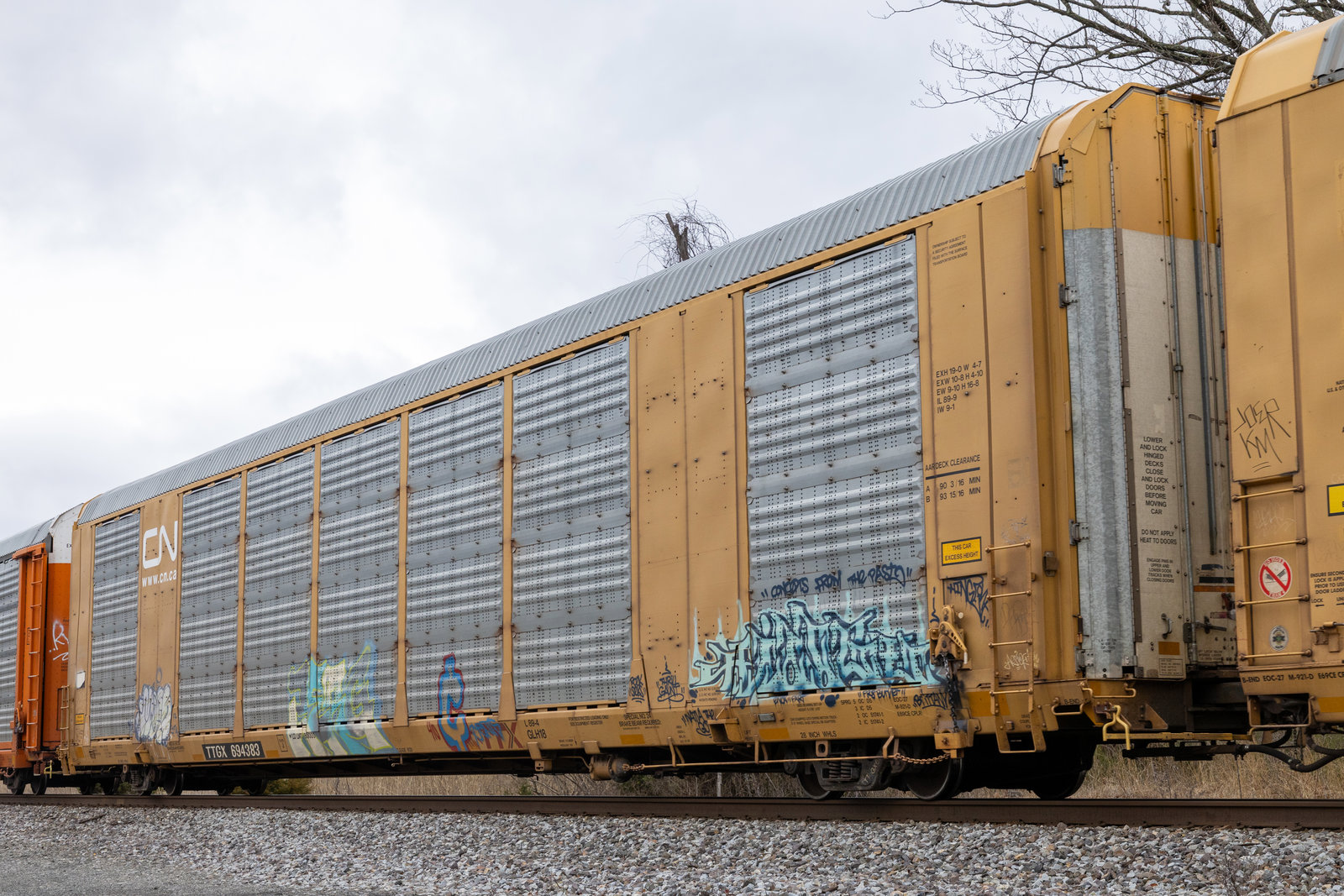 TTGX 694383