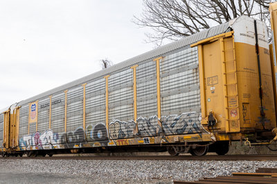 TTGX 159954