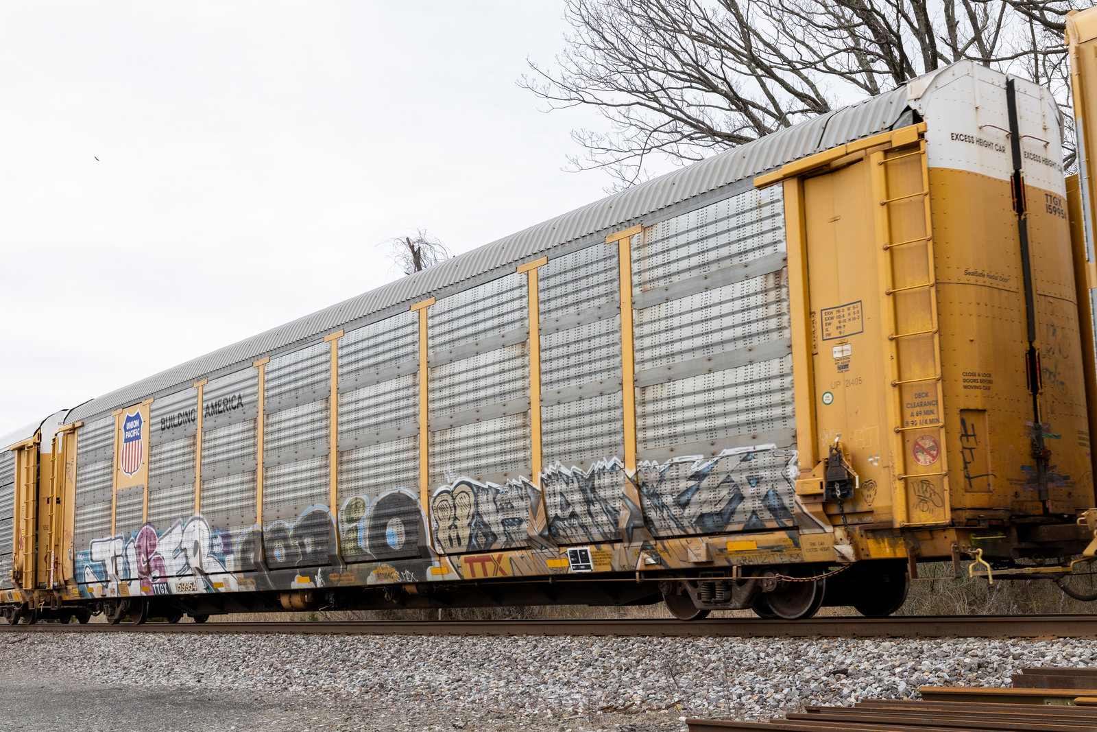 TTGX 159954