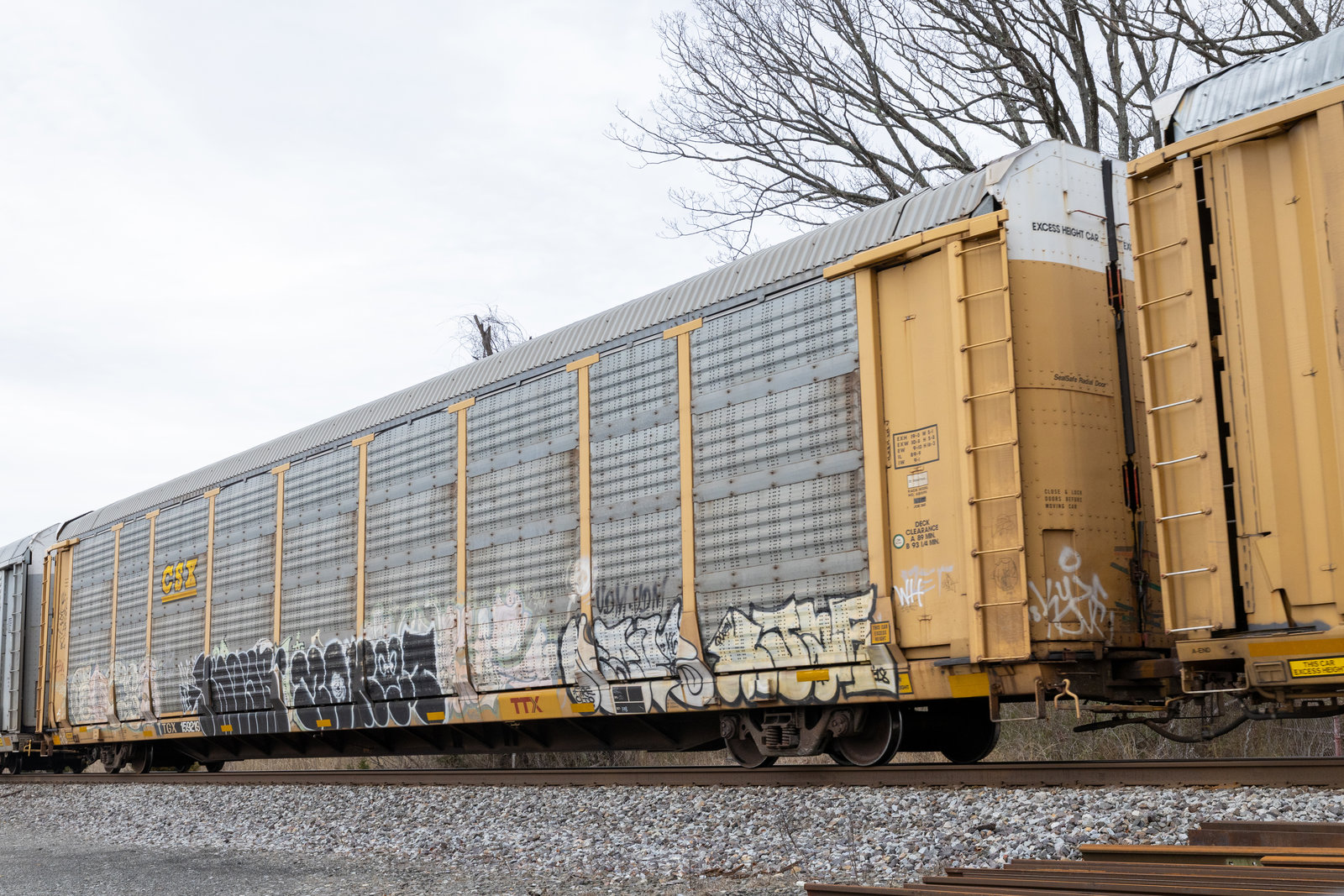 TTGX 159219