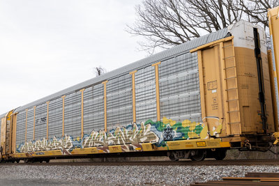 TTGX 704279