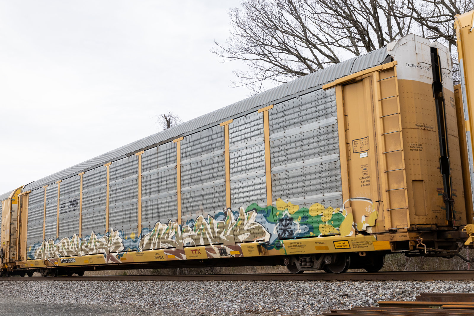 TTGX 704279