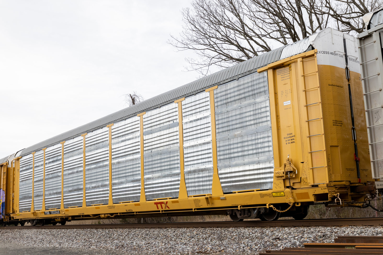 TTGX 702565