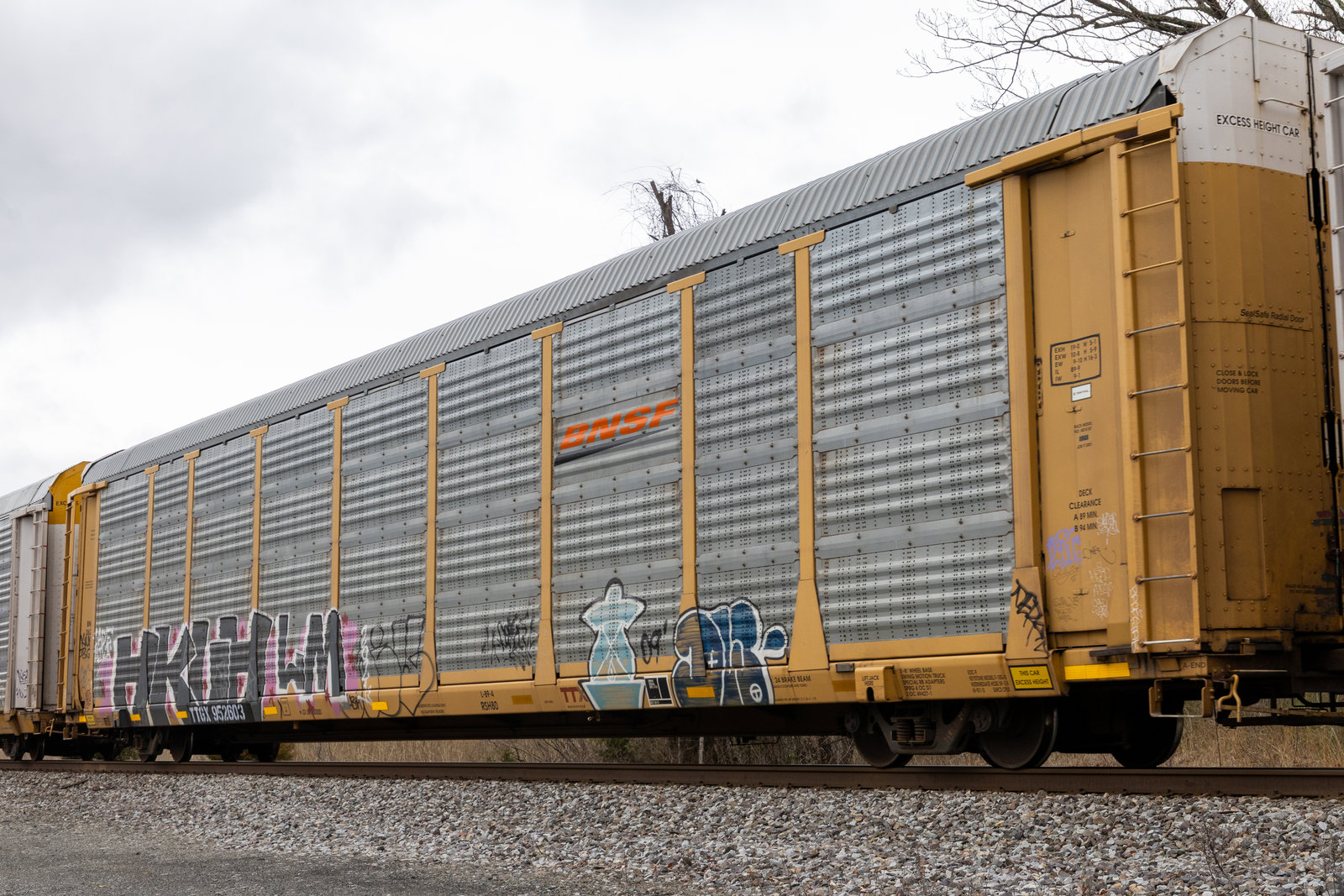 TTGX 952603