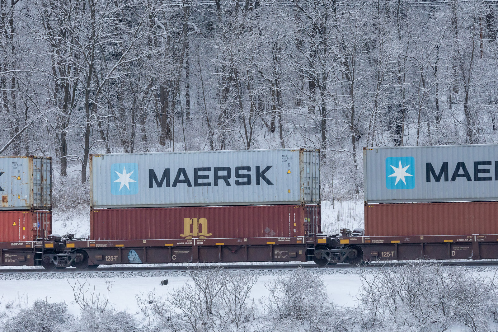 BNSF 239208C