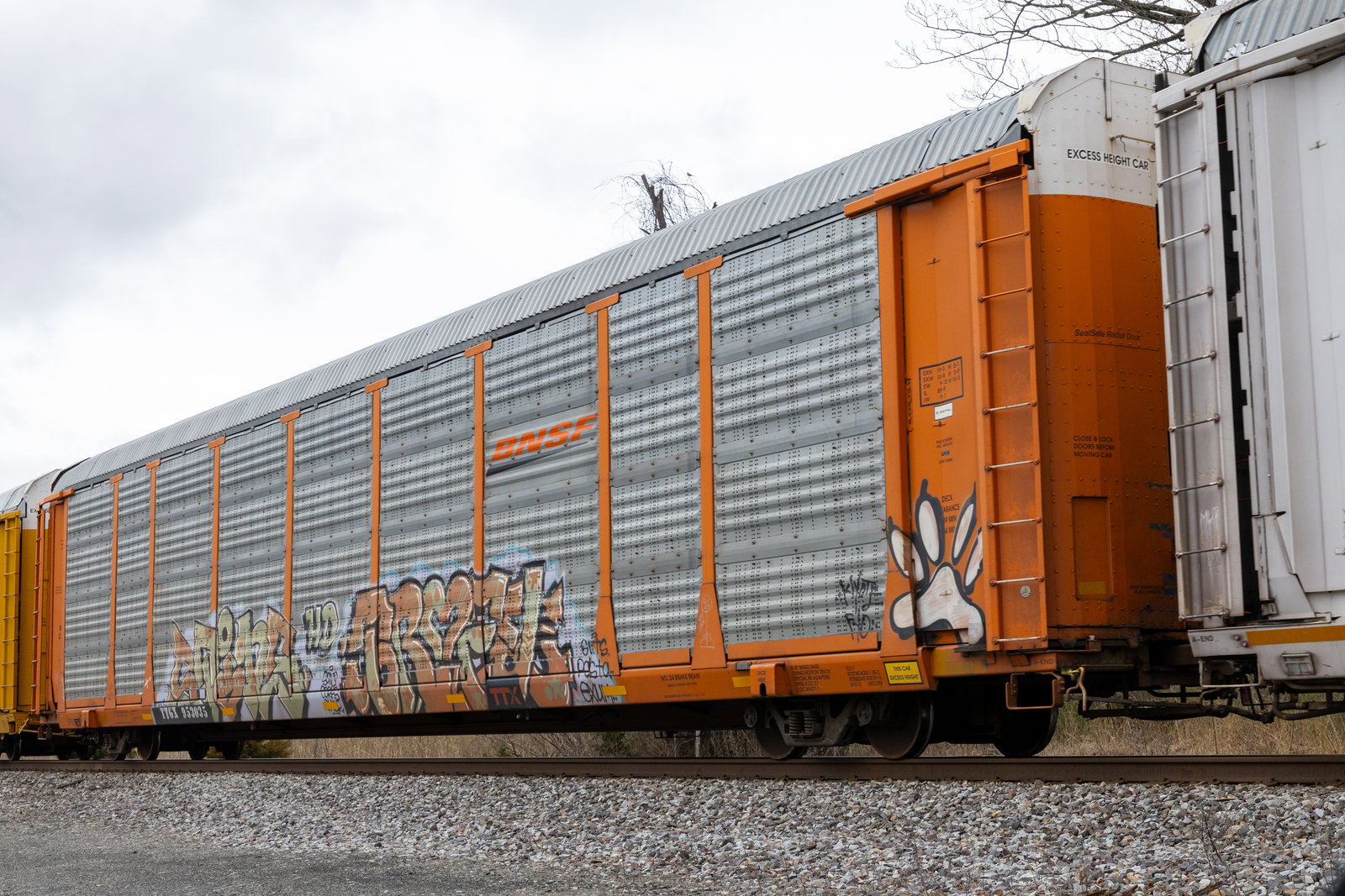 TTGX 953035