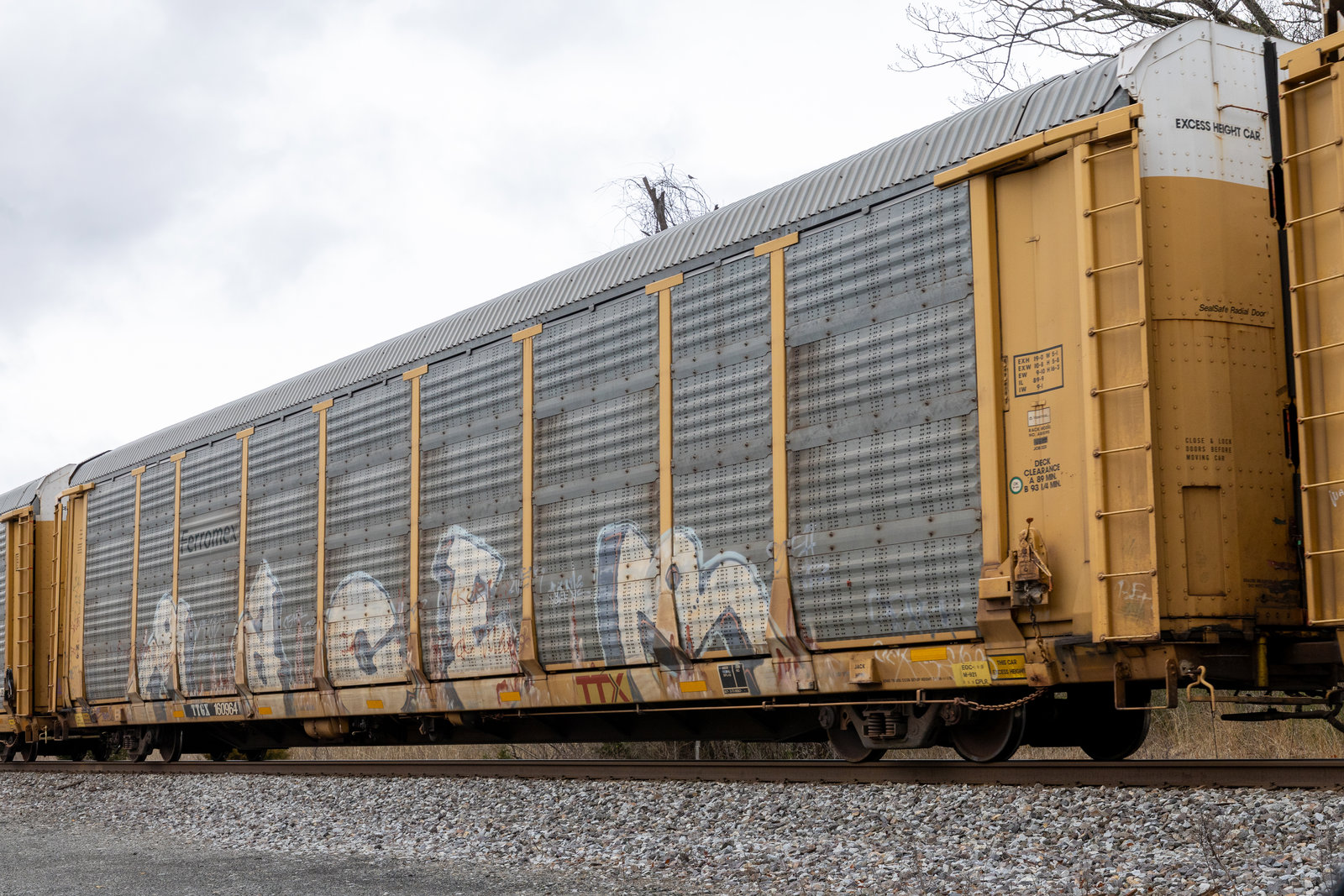 TTGX 160964
