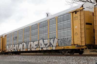 TTGX 156884